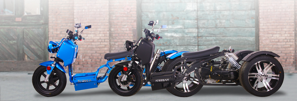 mad dog trike