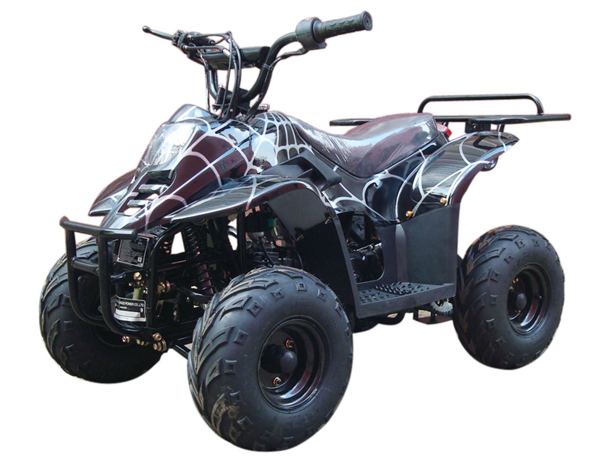 Spider Black