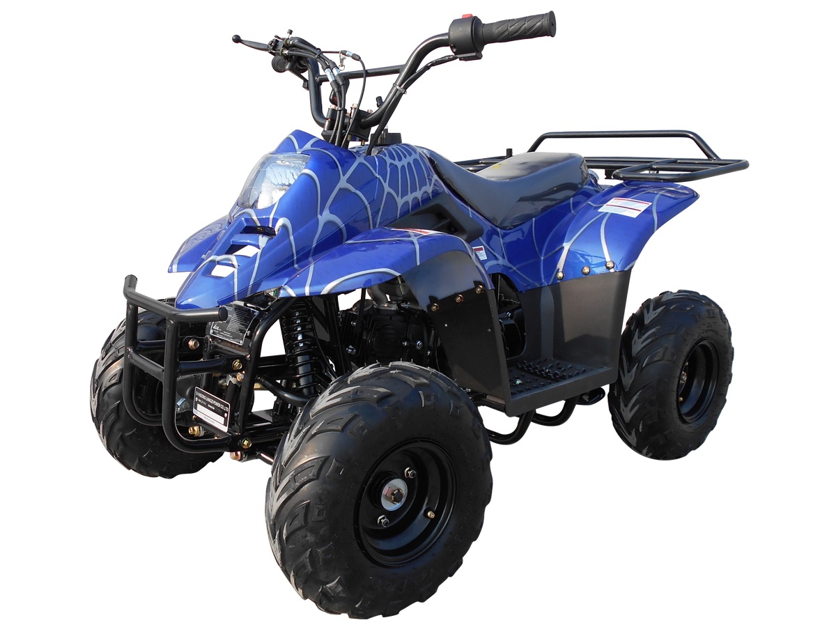 Spider Blue