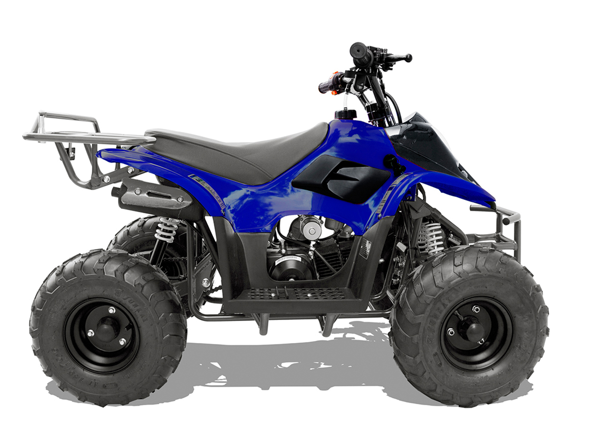Metallic Blue with Black