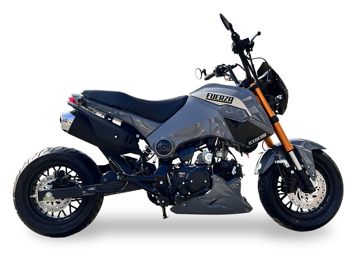 Ice outlet bear 125cc