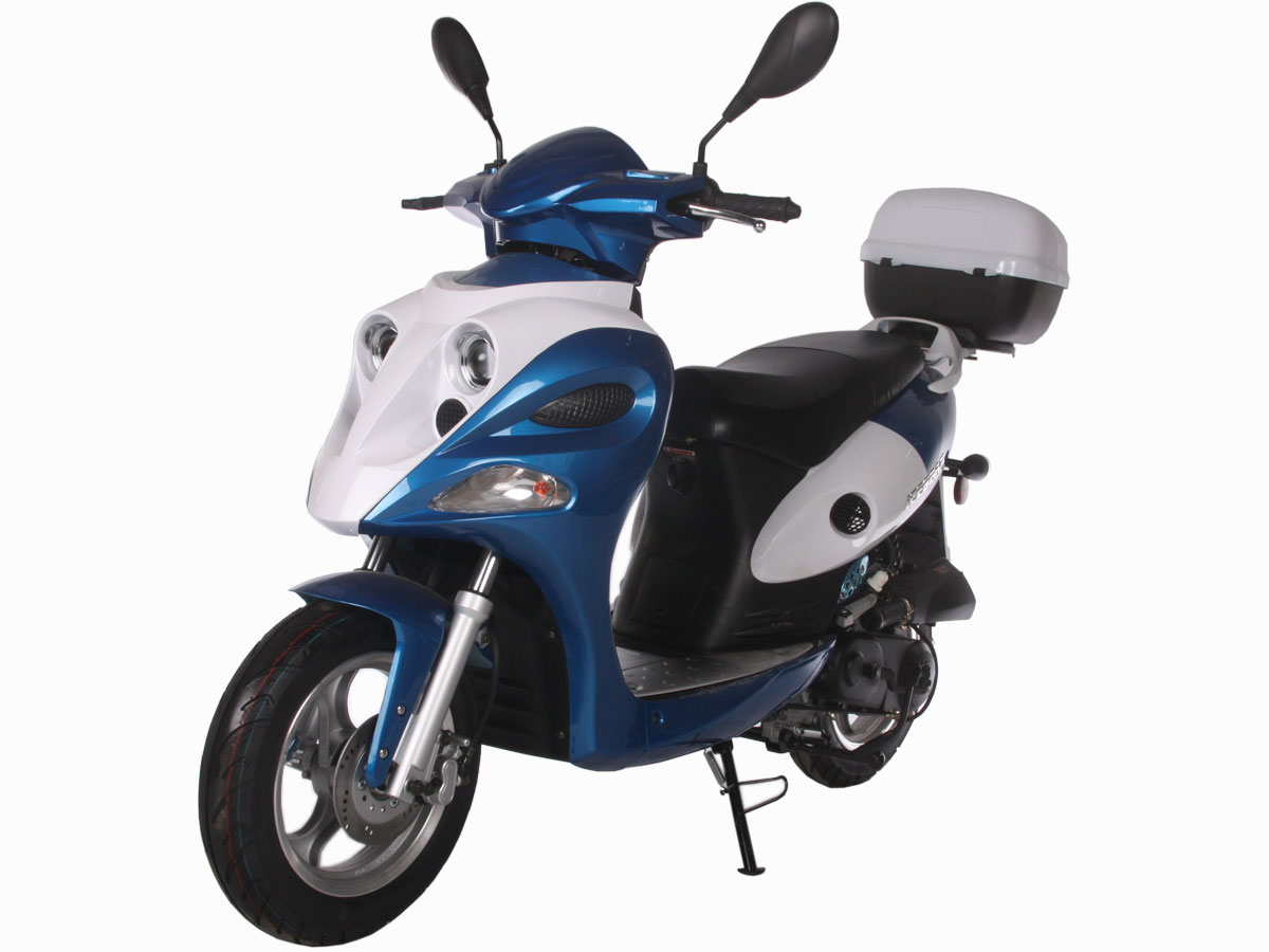 Metallic Blue/White
