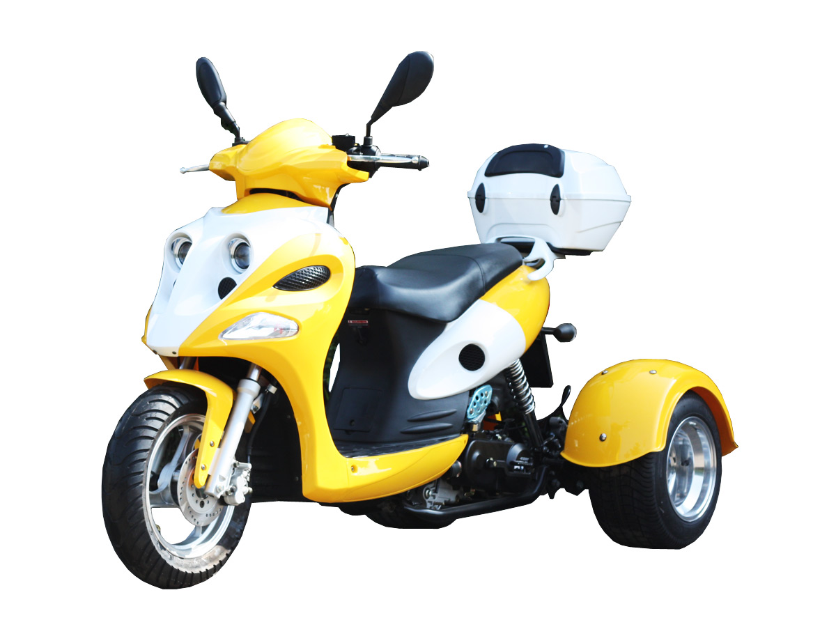 Metallic Yellow/White